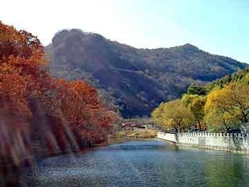 澳门天天开奖免费资料，地盾宝平台